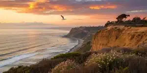 Scenic San Diego coastline tour at sunset.