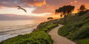 Best value private tours of San Diego's scenic coastline.