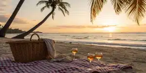 San Diego honeymoon package with beach picnic, wine, and ocean view.