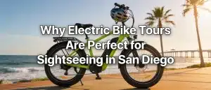 Electric bikes remove physical effort from sightseeing, letting riders focus on the scenery and experience