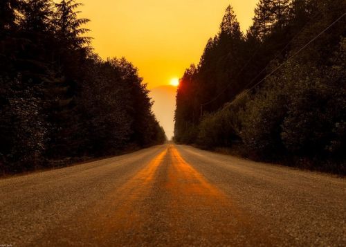 Canada-Sunrise-Highway-Landscape-Sunset-Road-2656639