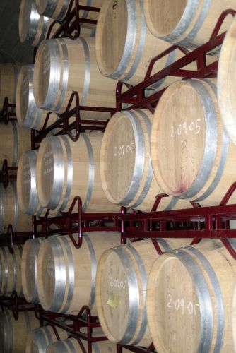 Barrells-in-modern-winery